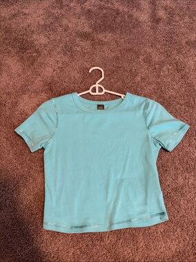wild fable Light Blue Crop Tee
